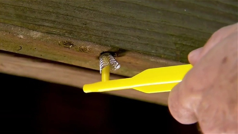 Hand using a yellow tool to insert a mesh metal plug into the nest hole of a carpenter bee.