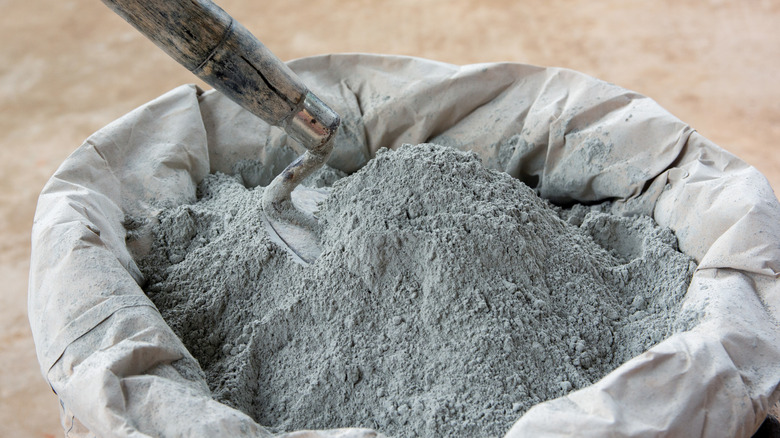 Bag of cement with a cement trowel