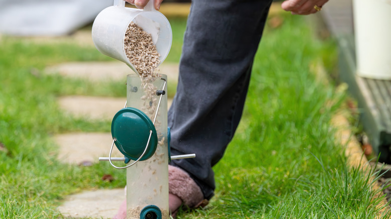 Person filling a bird feeder with seeds