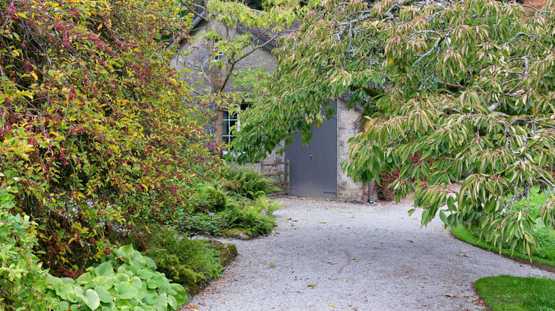a beautiful pea gravel pathway that's easy to maintain