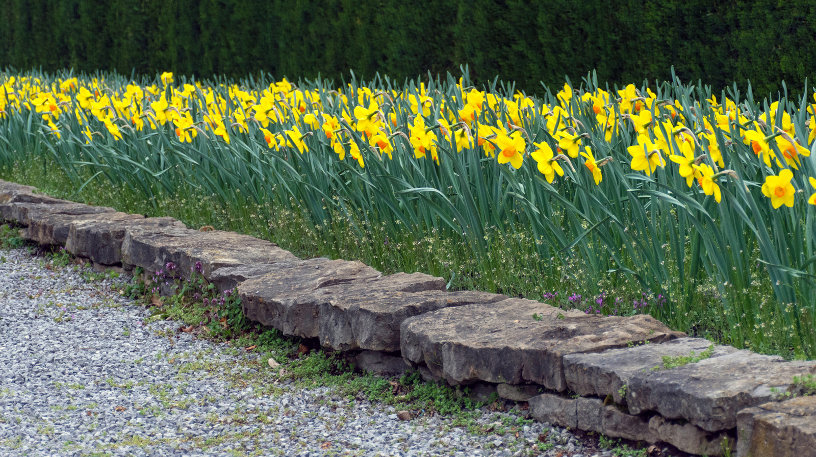 Not Landscape Fabric Or Vinegar: This Simple Addition Helps Prevent Weeds In Pea Gravel