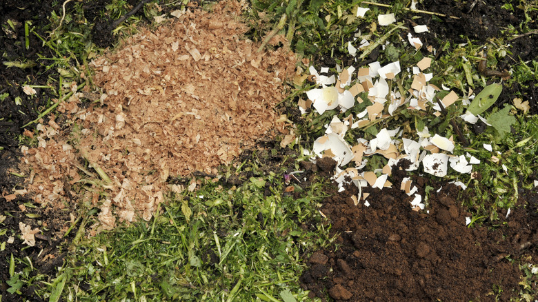 sawdust in varied compost pile
