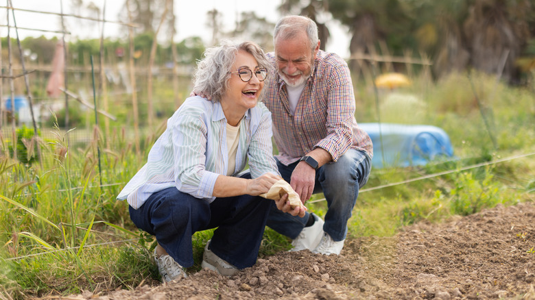 couple planting seeds in garden
