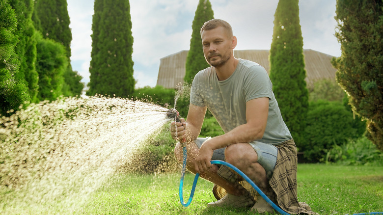 Man crouched down watering lawn with garden hose