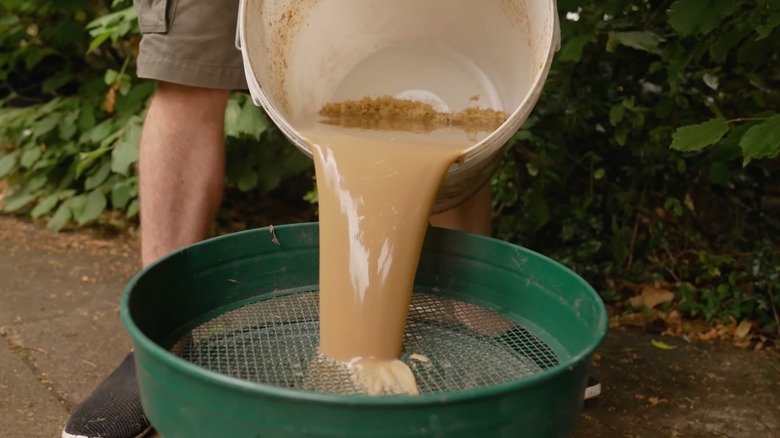 Fermented fish fertilizer made from fish scraps being strained by a person.