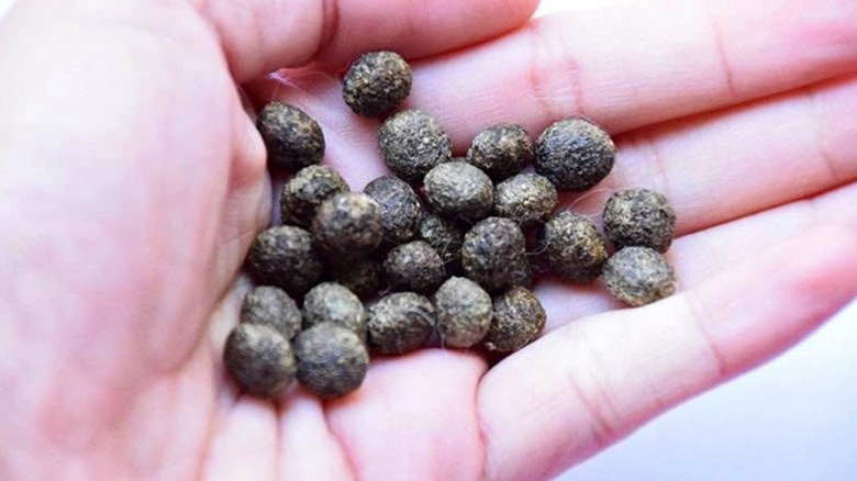 A handful of rabbit pellets are held in someone's hand.