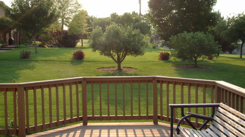 An exposed deck in a sunny backyard filled with different tree species.