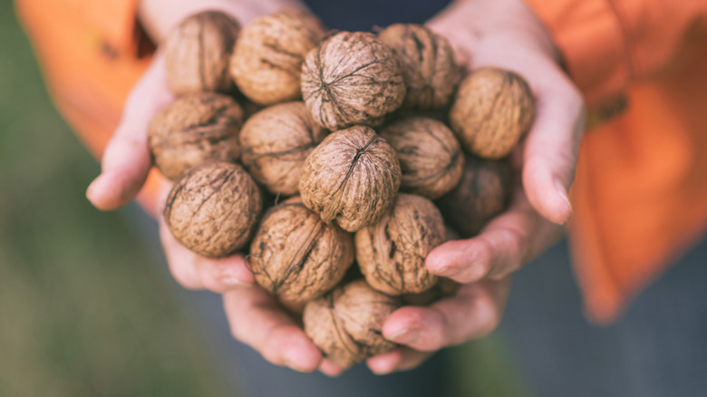 A woman with a handful of walnuts