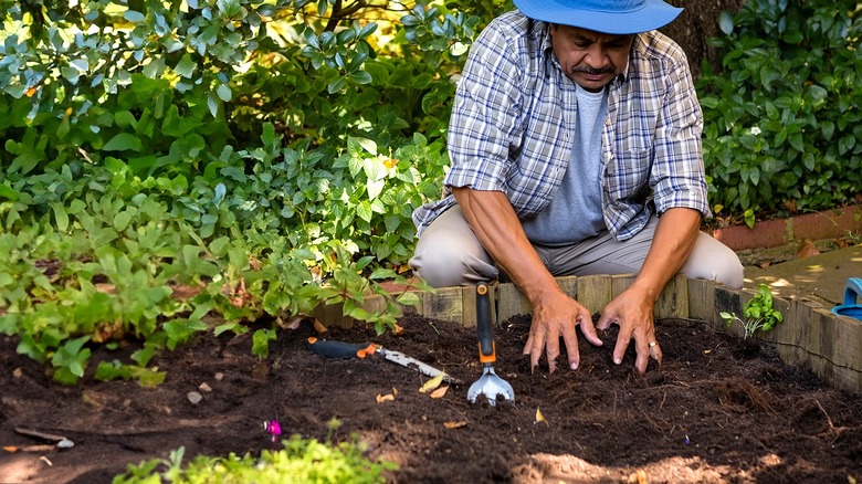 Gardener works on the soil of a raised garden bed in the shade
