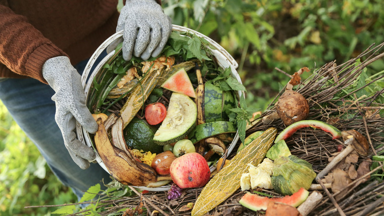 A person adding food scraps to a compost pile