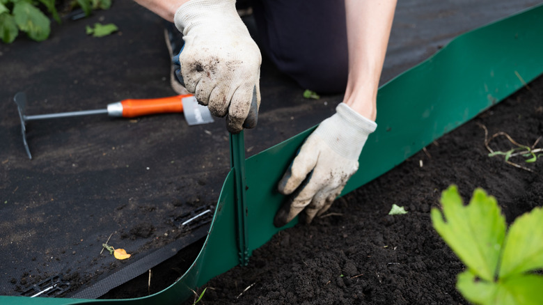 Person installing plastic edging around garden bed