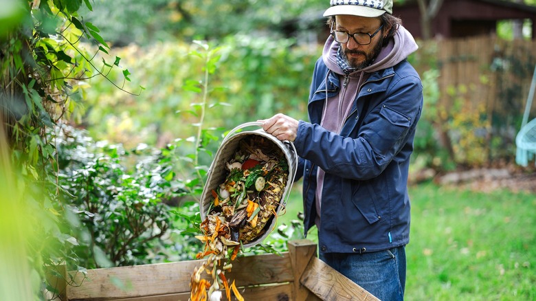 Person adding to scraps compost pile
