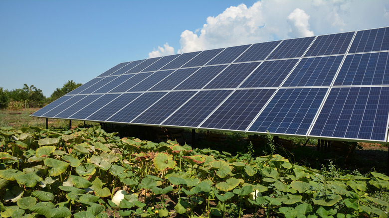 a large ground mounted residential solar panel system