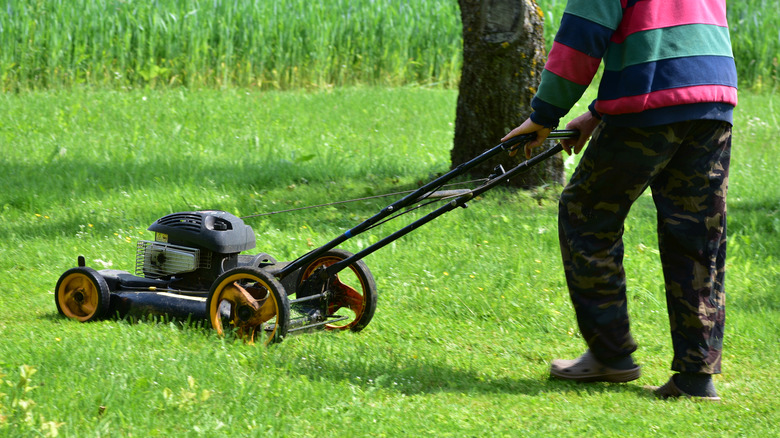 A man pushing a mower in a yard