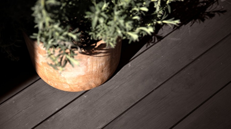 A deck treated with Behr's Premium Stain & Seal