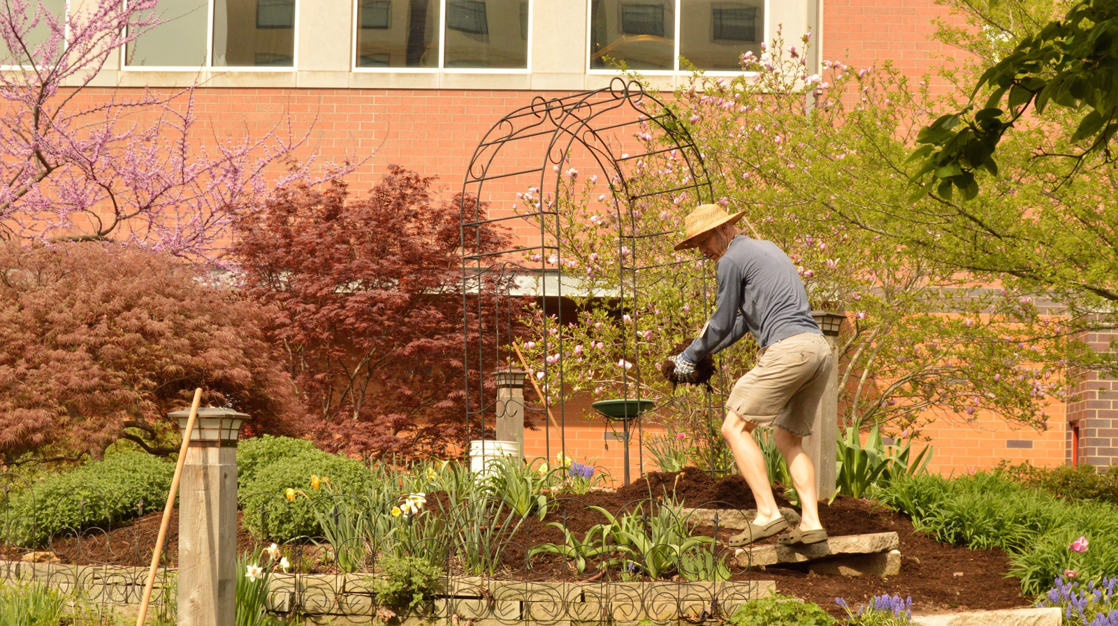 Not Shredded Mulch: The Long-Lasting Alternative For Landscapes