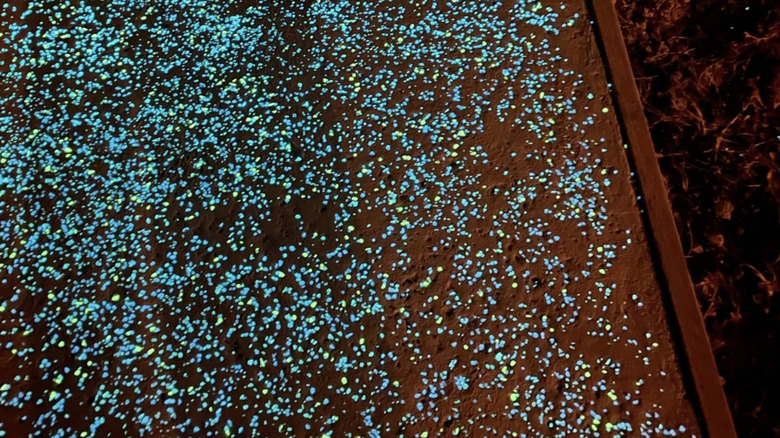 A driveway created using glow-in-the-dark aggregate.