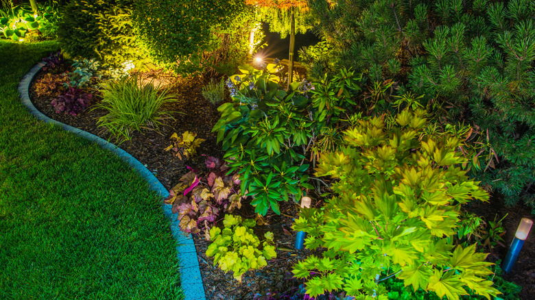 a garden with a variety of colorful plants and shrubs, enhanced by soft lighting