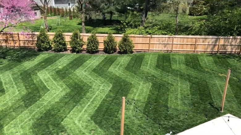 Lawn with zigzag lawn pattern in backyard