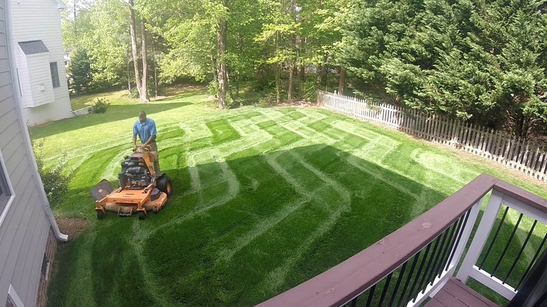 Man moving zig zags in backyard lawn