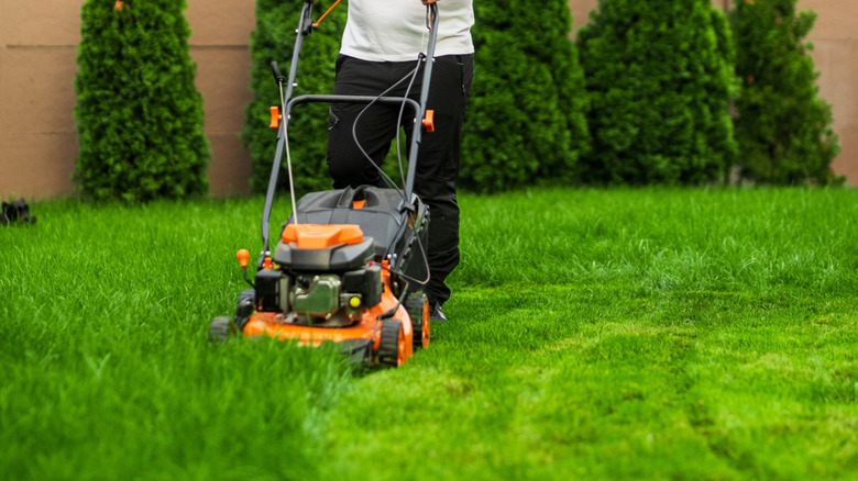 Person actively mowing their tall lawn in an arching pattern
