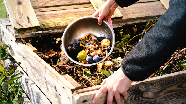 A person adds food waste and other biodegradable matter to a backyard compost bin.