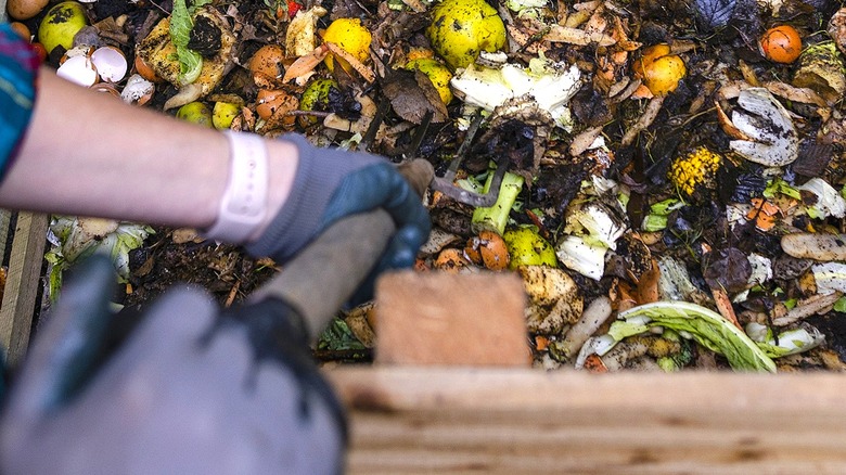 Close-up of a person turning over a compost heap made up of a greens and browns