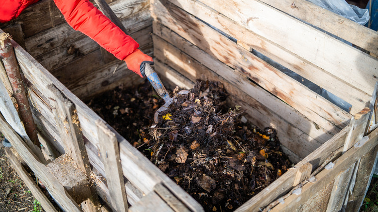 Someone turning compost with a garden fork in a wooden compost bin