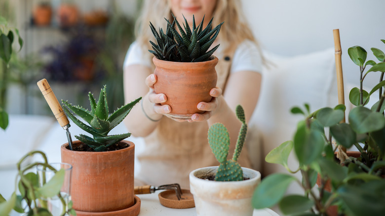Table with several planter and a woman holding up one planter