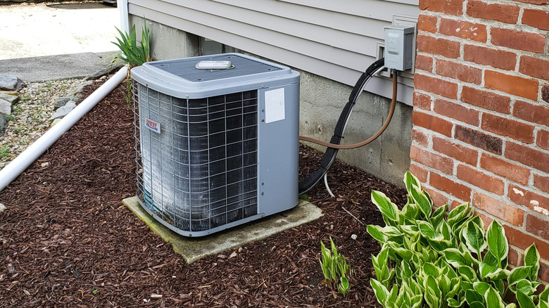 An AC unit with wood chip mulch surrounding it