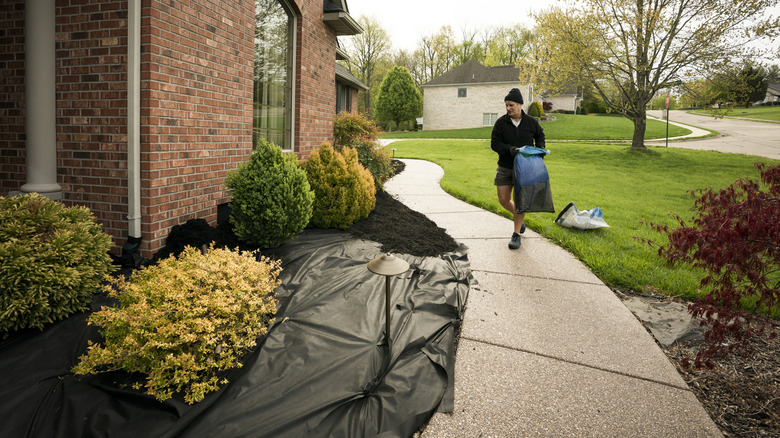 Man mulching bushes near foundation of brick house