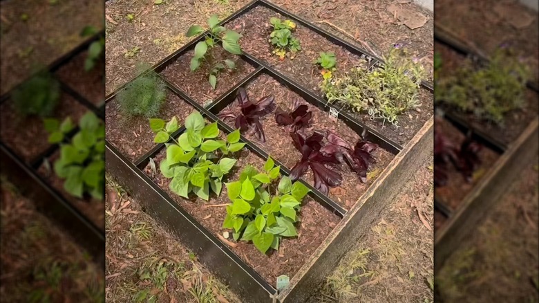 A raised garden bed made from an IKEA shelf unit
