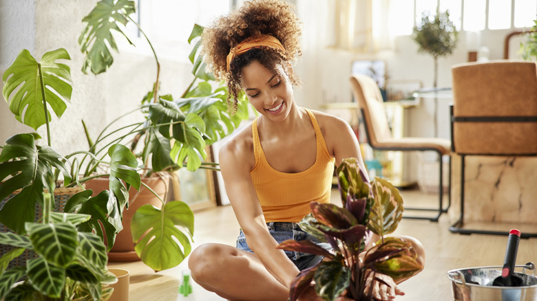 woman putting houseplant in pot
