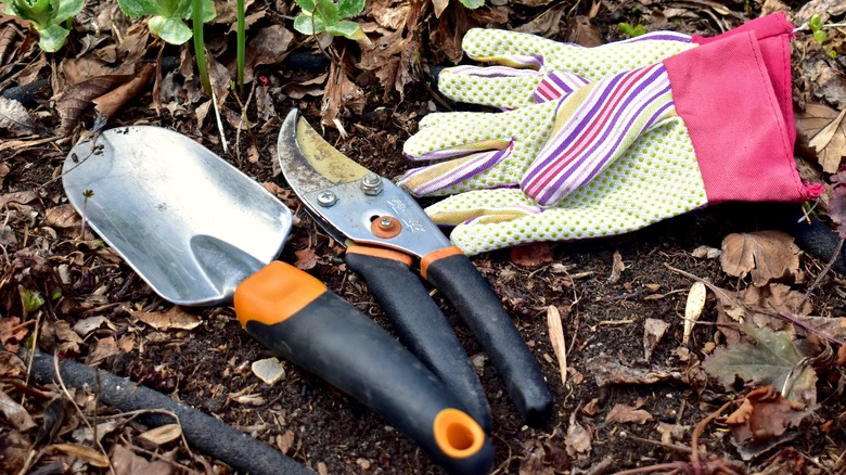 Garden gloves with hand tools.