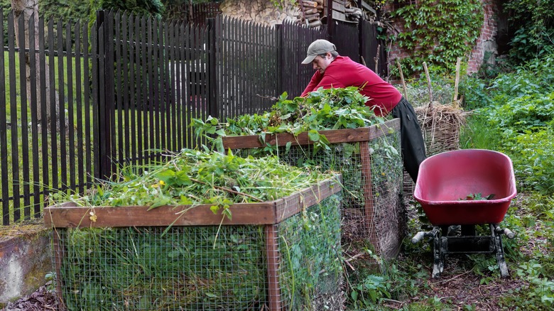 Gardener working on compost bins.