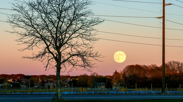 The Beaver full moon rising in the sky above an autumnal landscape