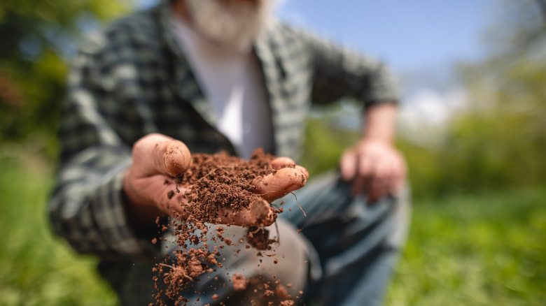 Man holds dirt in front of camera on a sunny day