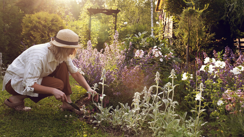 A woman tending to shrubs outside in her garden on a sunny day
