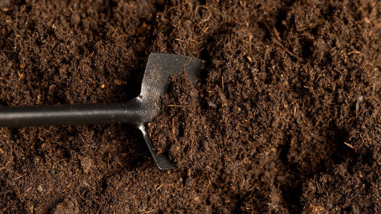 A black metal shovel is partially covered by soil.