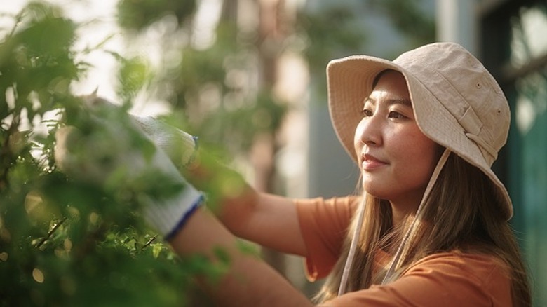 A woman tending to her garden