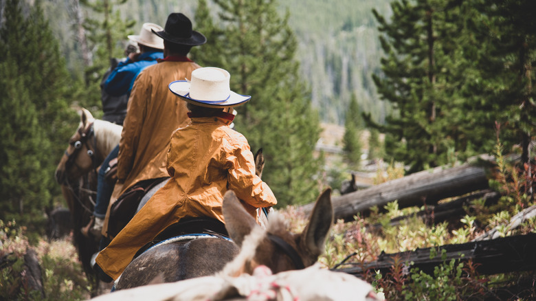 Several cowboys in a mountain region wearing hats and waterproof jackets or rain slickers.