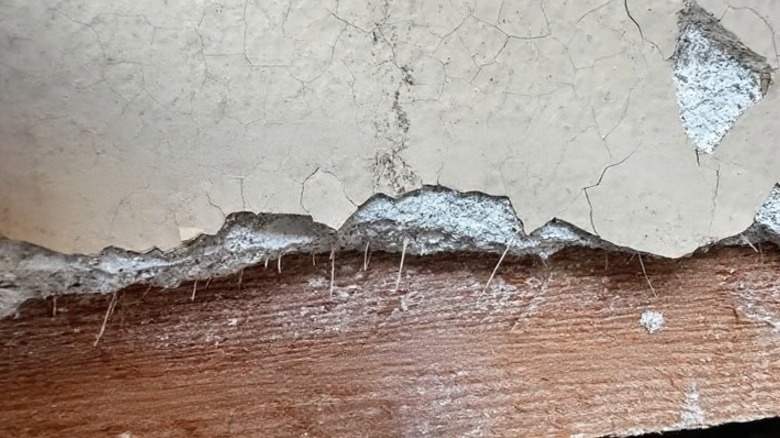 Horsehair visible at the bottom of lime plaste