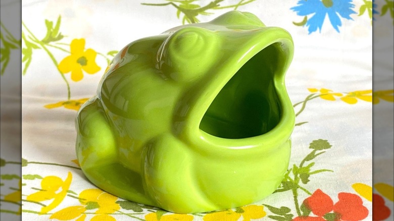 frog sponge holder
