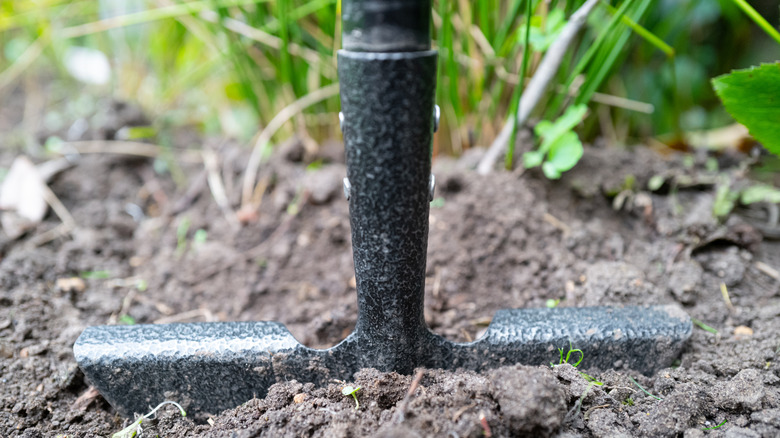 A half-moon edger with the blade hidden in the soil