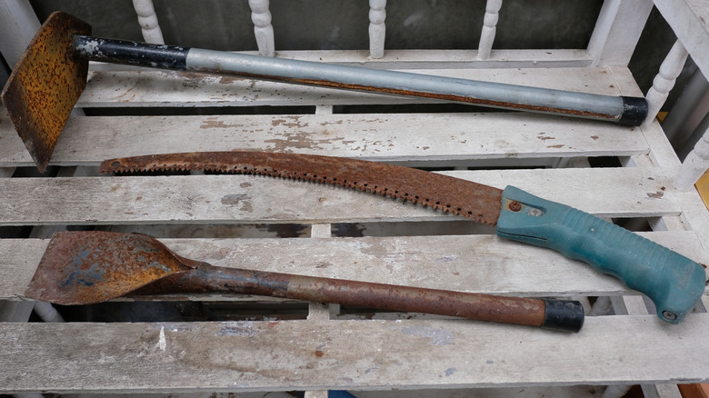Rusting, vintage gardening tools on a bench