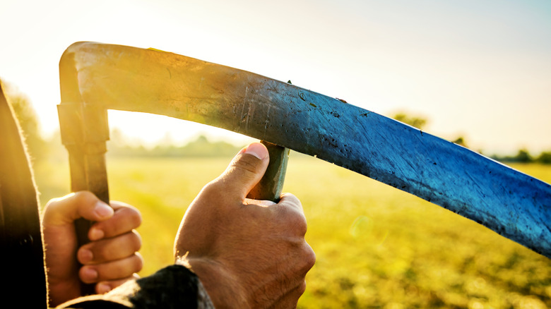 Close-up of hands honing the blade of a scythe