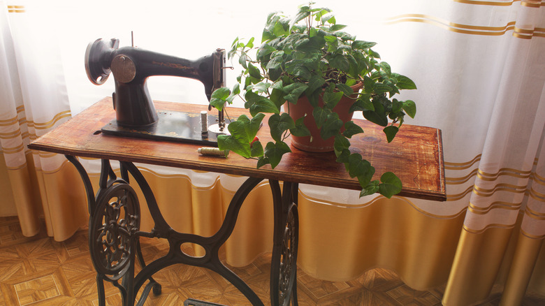A sewing table with a potted plant sitting on the leaf