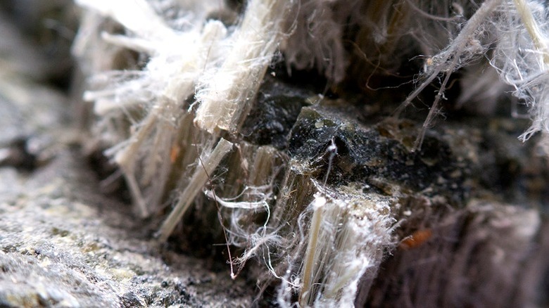 A sampling of asbestos fibers