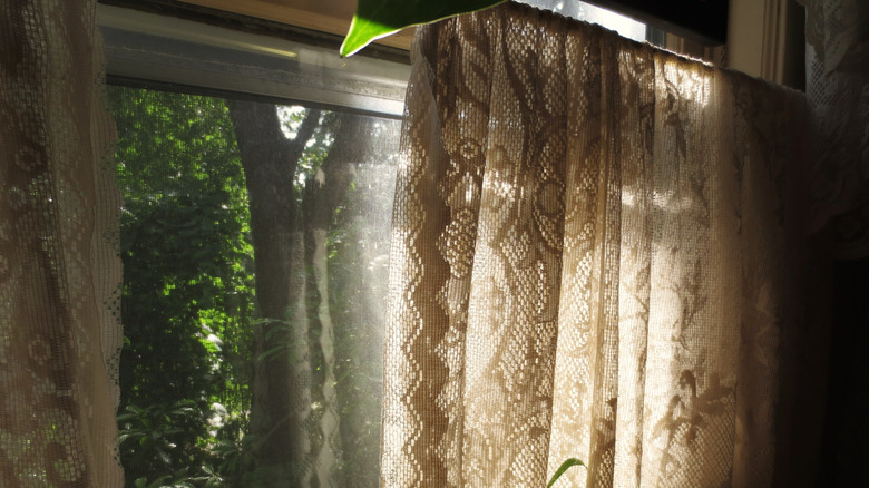 Window with lace curtain and streaming sunlight