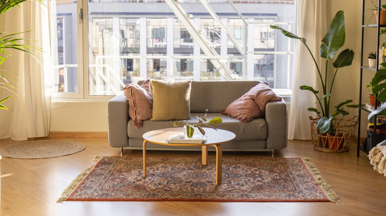 Couch with exposed legs in a living room with a coffee table and plants